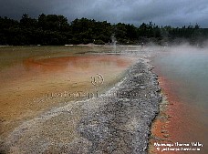 geothermal areas, New Zealand